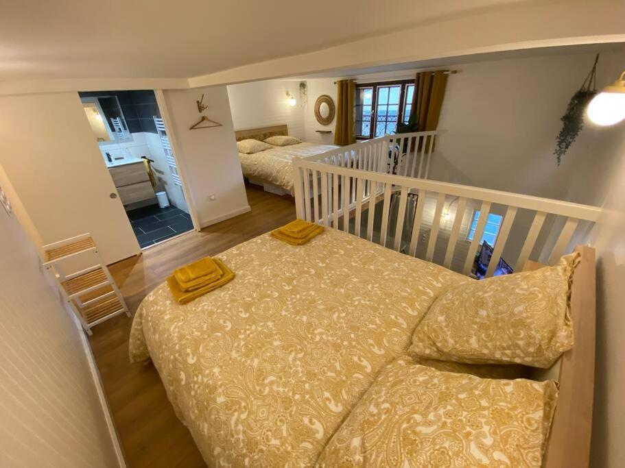 Charmant Appartement - Proche Chateau Cite Carcassonne Exteriör bild